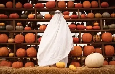 Halloween Essentials